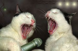 ����� ����������� ������������